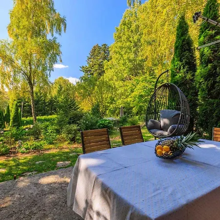 Homes With Pool In 54922 Holiday home Breza