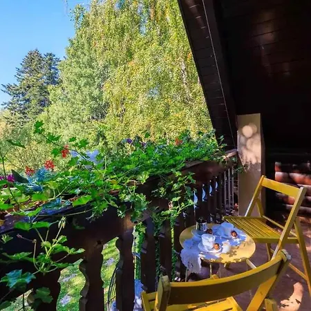 Homes With Pool In Breze 54922 Breza